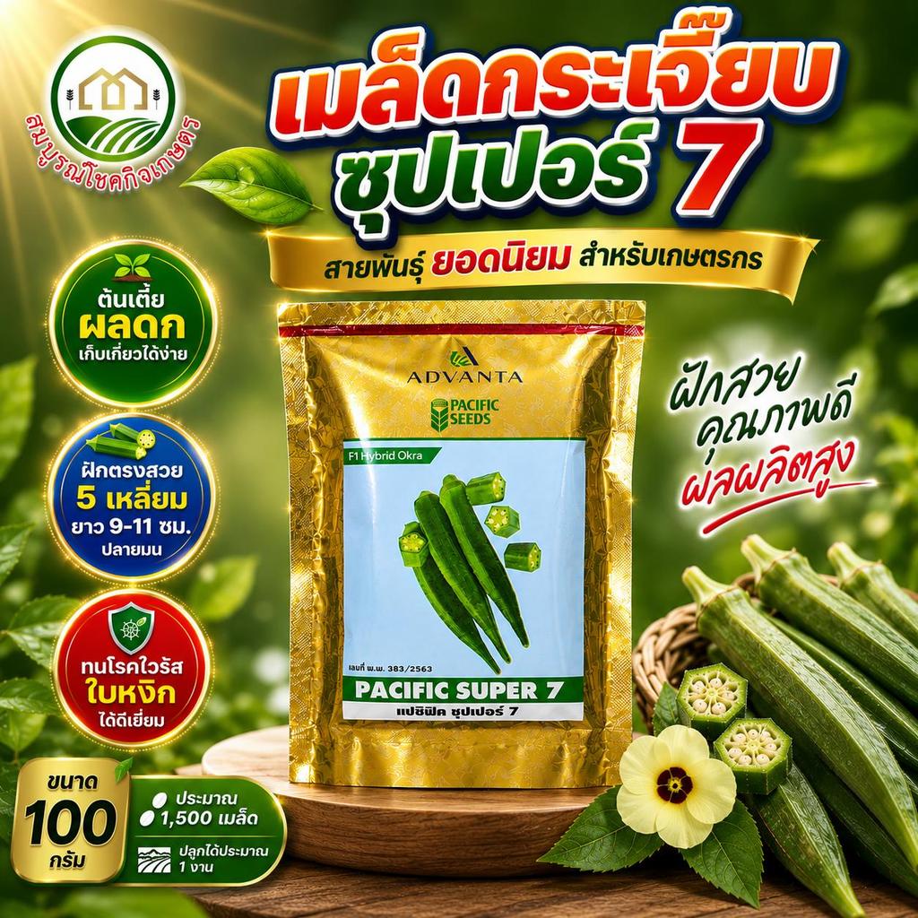 เมล็ดพันธุ์ กระเจี๊ยบ ลูกผสม แปซิฟิค ซุปเปอร์ 7 ขนาด 100 กรัม ฝักยาวสวย ลูกตรงไม่งอ ขนอ่อน ทานอร่อย