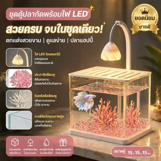 ปลากัดถัง ตู้ปลาตั้งโต๊ะในห้องนั่งเล่น วัสดุอะคริลิก ขนาดเล็ก ชุดครบ สำหรับใช้ในบ้าน มีไฟ LED สําหรับให้แสงสว่าง