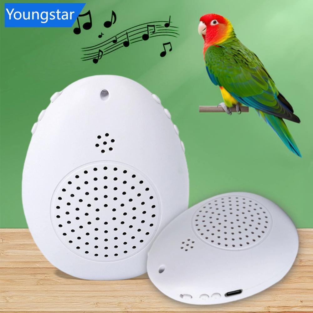 FYY Recordable Bird Learning Machine Talking Parrot Trainer พร้อมเพลงบทกวีโบราณเสียงภาษาอังกฤษสําหรั