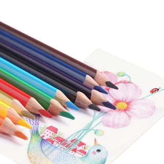 จอร์เจียน(Giorgione) สีไม้ สีไม้ Giorgione ดินสอสี ดินสอสีไม้ 12/24/36/48/120สี ของแท้ 100%