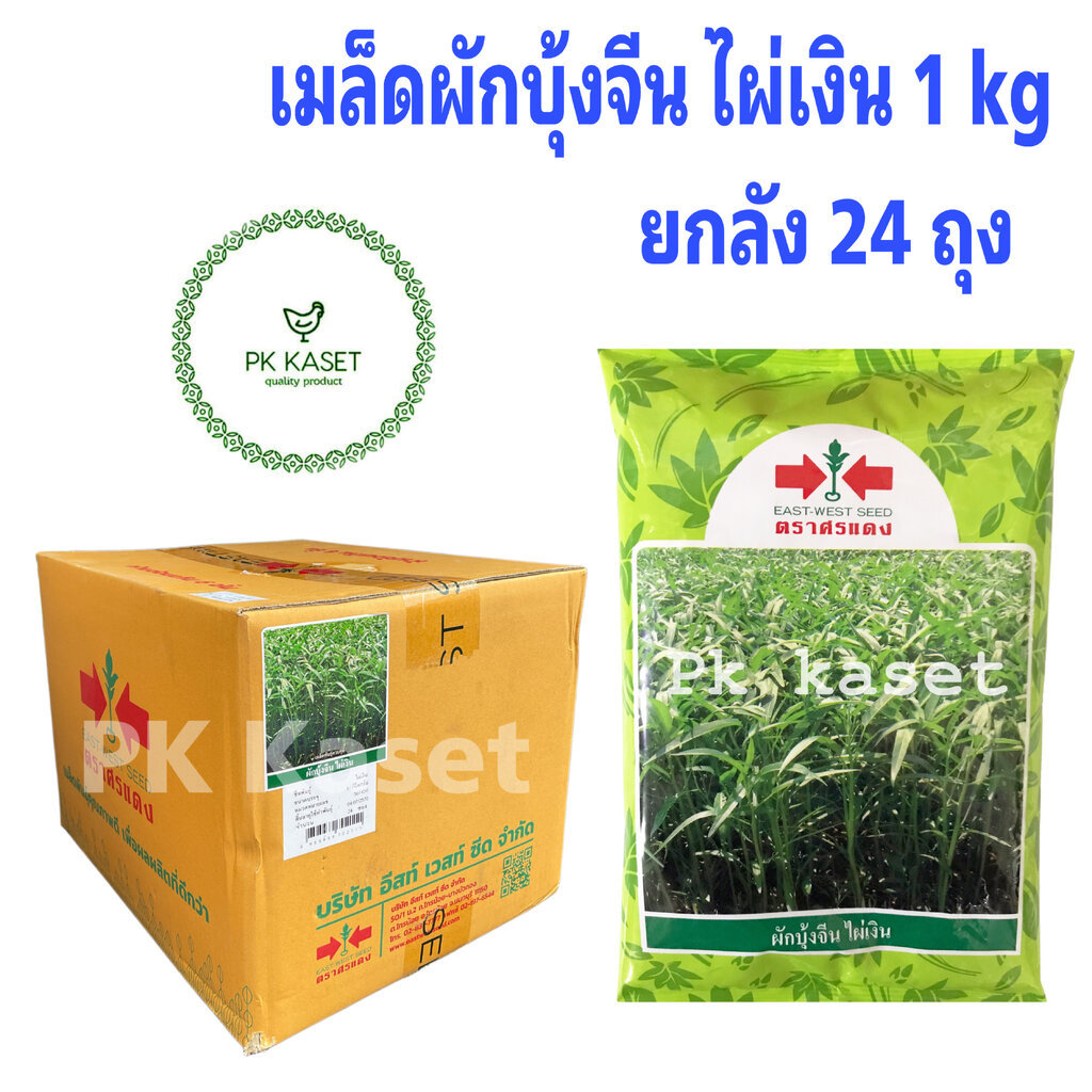 เมล็ดผักบุ้ง ไผ่เงิน 1kg ยกลัง 24 ถุง ตราศรแดง ราคาส่ง