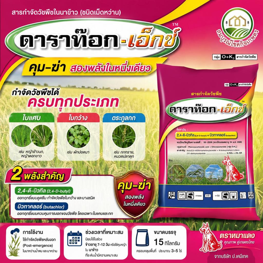 ดาราท๊อก-เอ็กซ์ ในนาข้าว ชนิดเม็ดหว่าน ยาหว่าน ตรา หมาแดง สำหรับพื้นที่นา 3-4 ไร่ กำจัดหญ้า วัชพืช กก ผักปอด