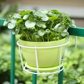 ตะกร้าแขวนกระถางต้นไม้ แบบเหล็ก ที่แขวนกระถางต้นไม้ กระถางแขวนผนัง flower stand #AP-0029