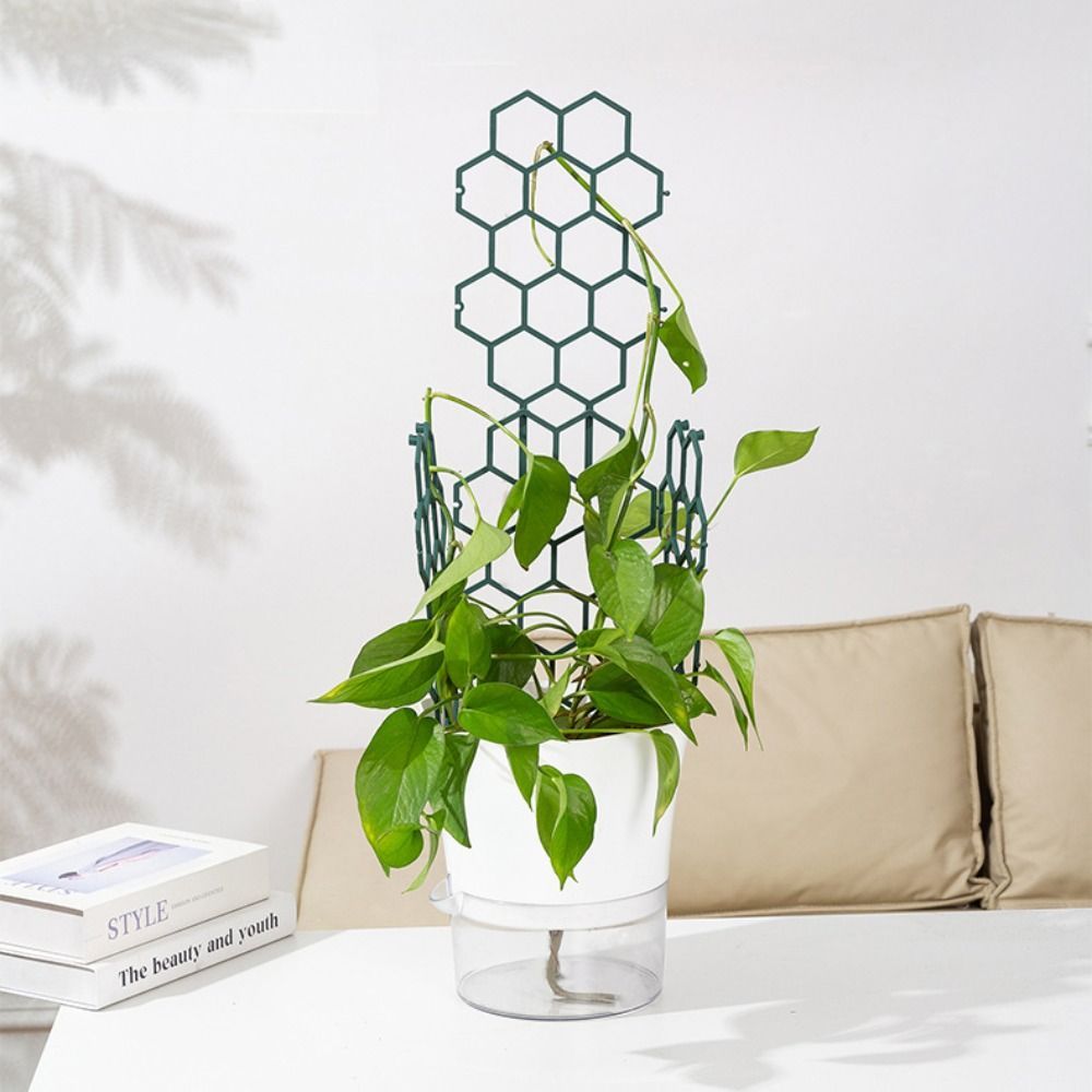 LEMONTREE Plant Support รูปที่ 4