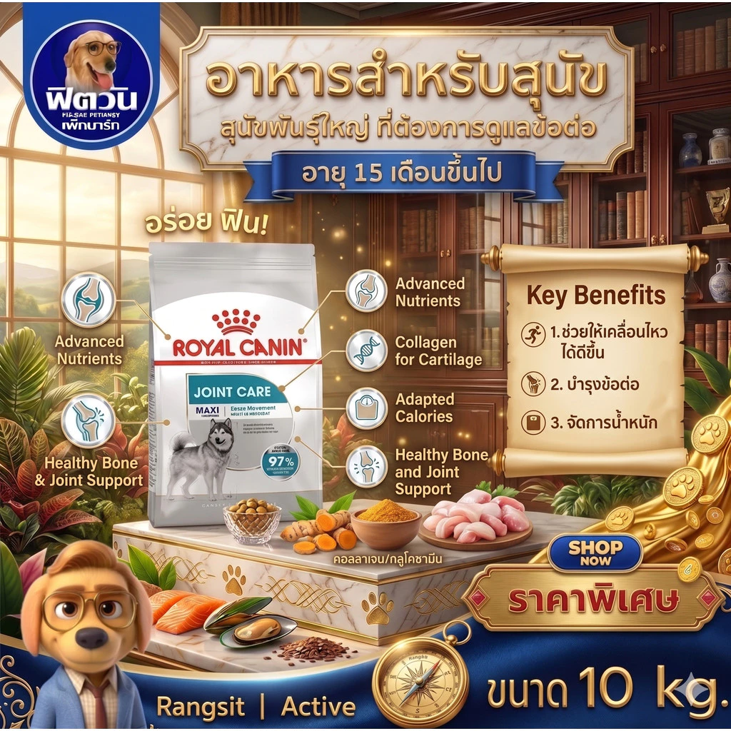 Royal Canin Maxi joint care พันธุ์ใหญ่ บำรุงข้อ ขนาด 10 กก.{อาหารสุนัขเม็ด}