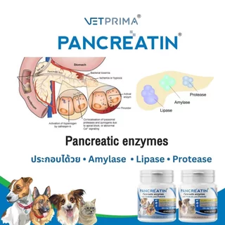 Pancreatin [แท้💯] ผลิตภัณฑ์เอ็นไซม์เสริมอาหาร สำหรับสุนัขและแมวที่มีภาวะตับอ่อนอักเสบ (แพนครีเอทิน) 30 แคปซูล (LYPEX)
