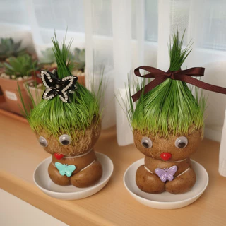 ตุ๊กตาหัวหญ้า หญ้าแมว ตุ๊กตาปลูกหญ้า diy ของขวัญ แต่งโต๊ะ ปลูกง่าย ตัดแต่งได้ ของเล่นเด็ก