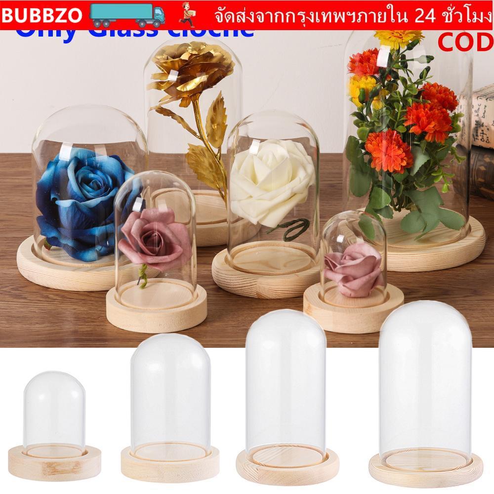BUBBZO แก้ว Clche พืชตกแต่งบ้าน Terrarium ขวดใส Jar ฐานไม้