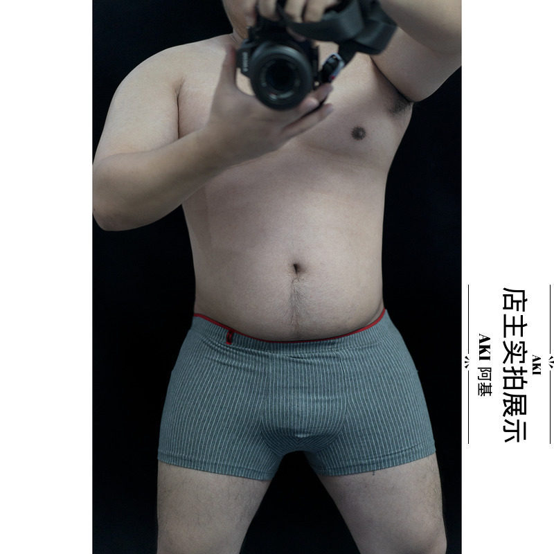 Archie Briefs Boxer Briefs Arrow Briefs Boxer Briefs Simple Breathable Sports