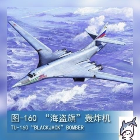 Trumpeter 1/72 Picture-160 "Pirate Flag" Bomber 01620