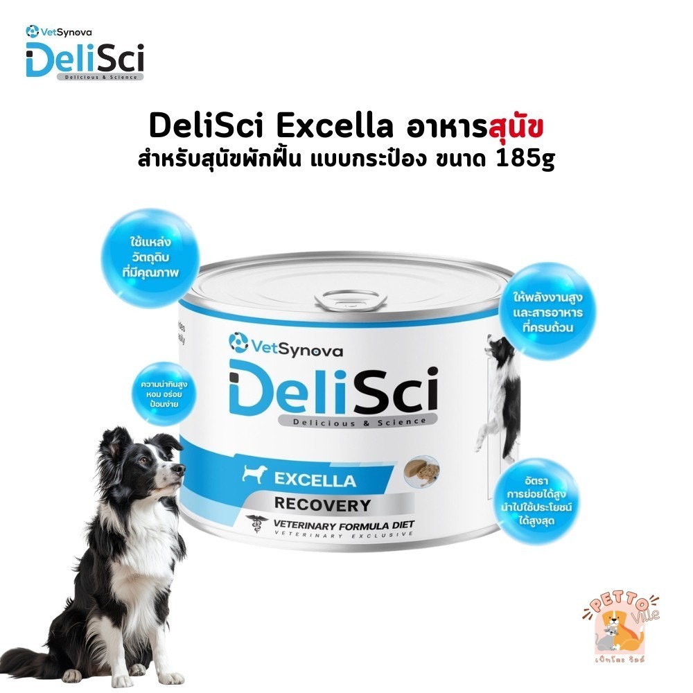 DeliSci Excella อาหารฟื้นฟูสําหรับสุนัขป่วย พักฟื้นหลังการผ่าตัด ที่ต้องการพลังงานสูง แบบกระป๋อง ขนาด 185 กรัม