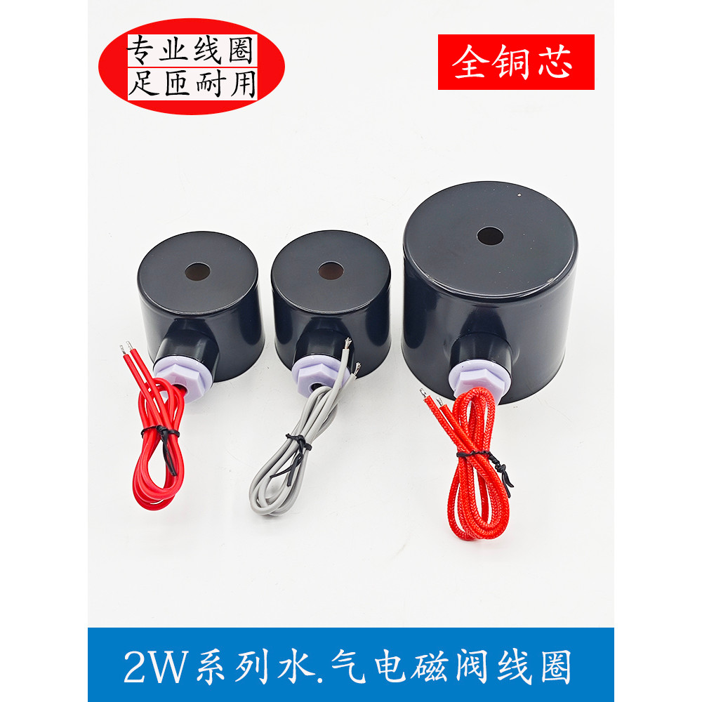 โซลินอยด์วาล์วควบคุมวาล์ว 2W-160-15 2W-200-20 2W-250-25 วาล์วน้ํา Series ขดลวดทองแดงทั้งหมด 220