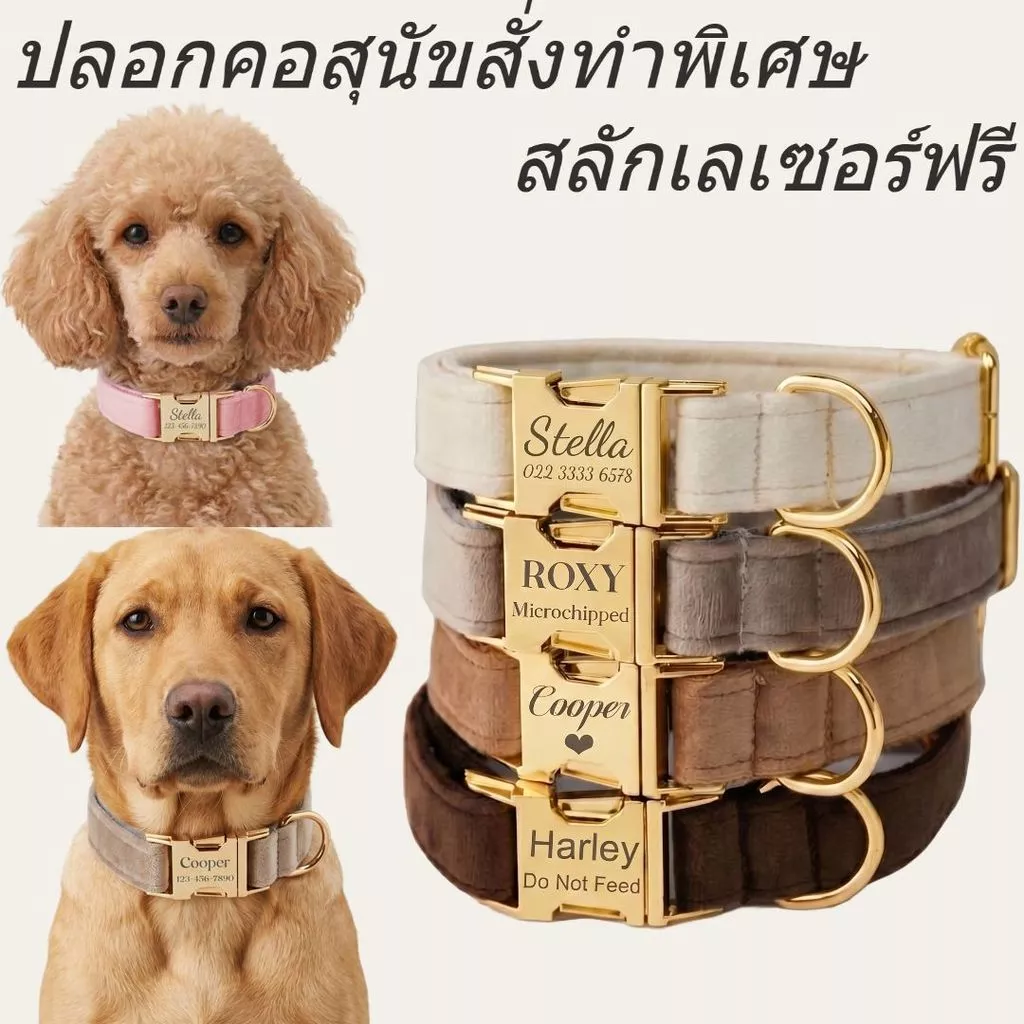 ปลอกคอสุนัขกํามะหยี่สลักชื่อพร้อมแท็กชื่อ ปลอกคอสุนัขและชุดสายจูง
