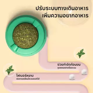 Mango กัญชาแมวหญ้าแมว 5 ชิ้น ลูกบอลแคทนิป กันชาแมว กัญชาเเมว catnip ball แคทนิปบอล ของเล่นแมวเลีย ขนมแมวเลีย ของเล่นแมว