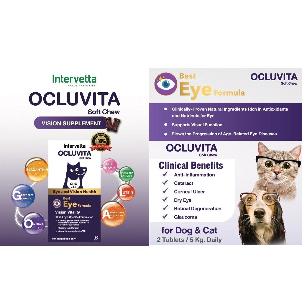 Ocluvita [แท้ ] อาหารเสริมเพื่อบำรุงสายตาและดวงตา สำหรับสุนัขและแมว ราคา ถูกที่สุด ดีลบีเคเค แกลเลอรีภาพที่ 4