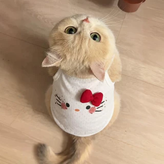 ชุดแมวฤดูร้อน เสื้อหมาน่ารัก ชุดหมาเล็ก โบว์สามมิติ ใส่สบาย ระบายอากาศดีน่ารัก ไซซ์ S/M/L