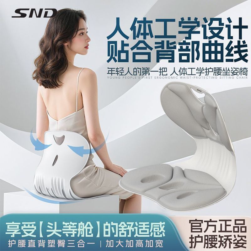 Snd Office Ergonomic Cervical Spine Lumbar Support Stentary God Support Cushion พนักพิงเก้าอี้กระดูก