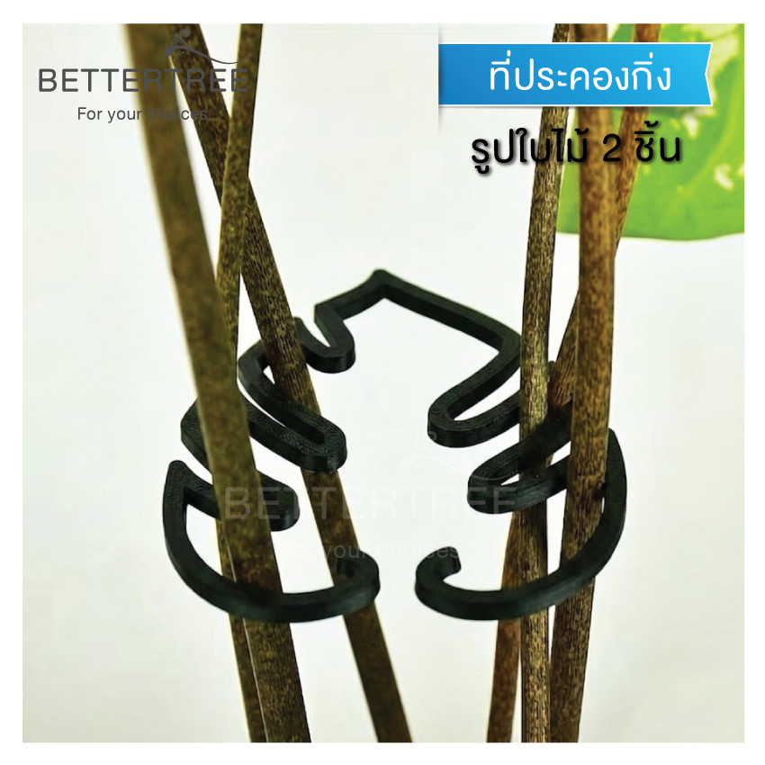 ที่ประคองกิ่ง รูปใบไม้ (Leaf Plant Support)