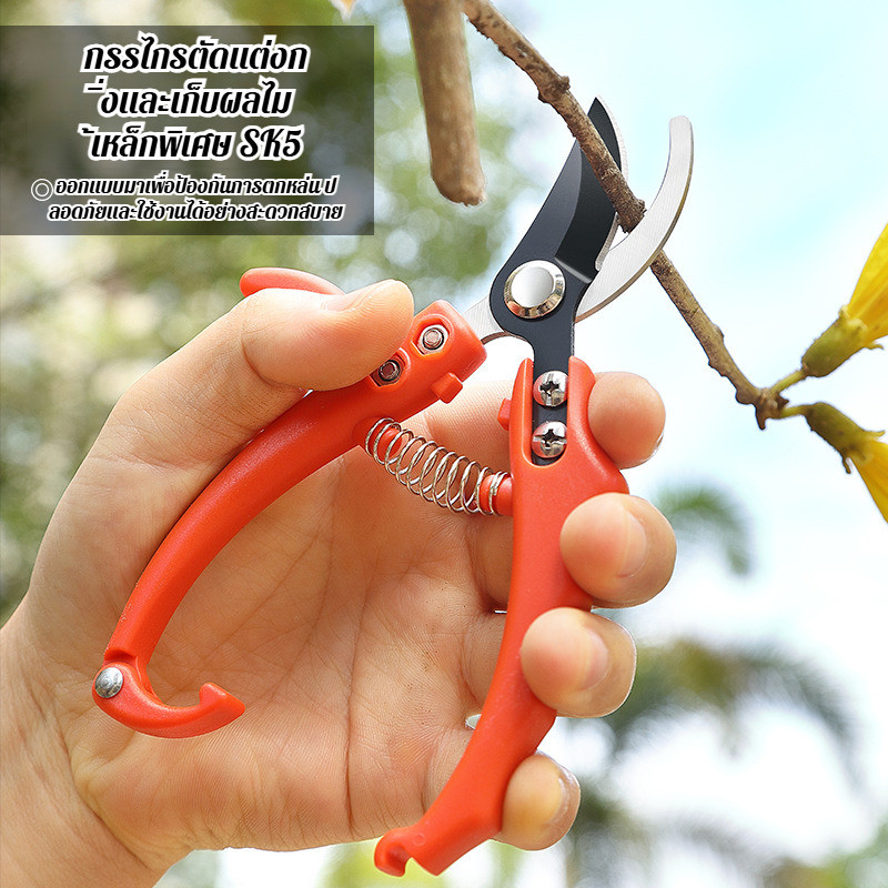 【คมทน ไม่บิ่น】✂️SK5 กรรไกรตัดกิ่งไม้ กรรไกรติดตา / SK5 มืออาชีพ / กรรไกรสวน / เหล็กกล้าคาร์บอน