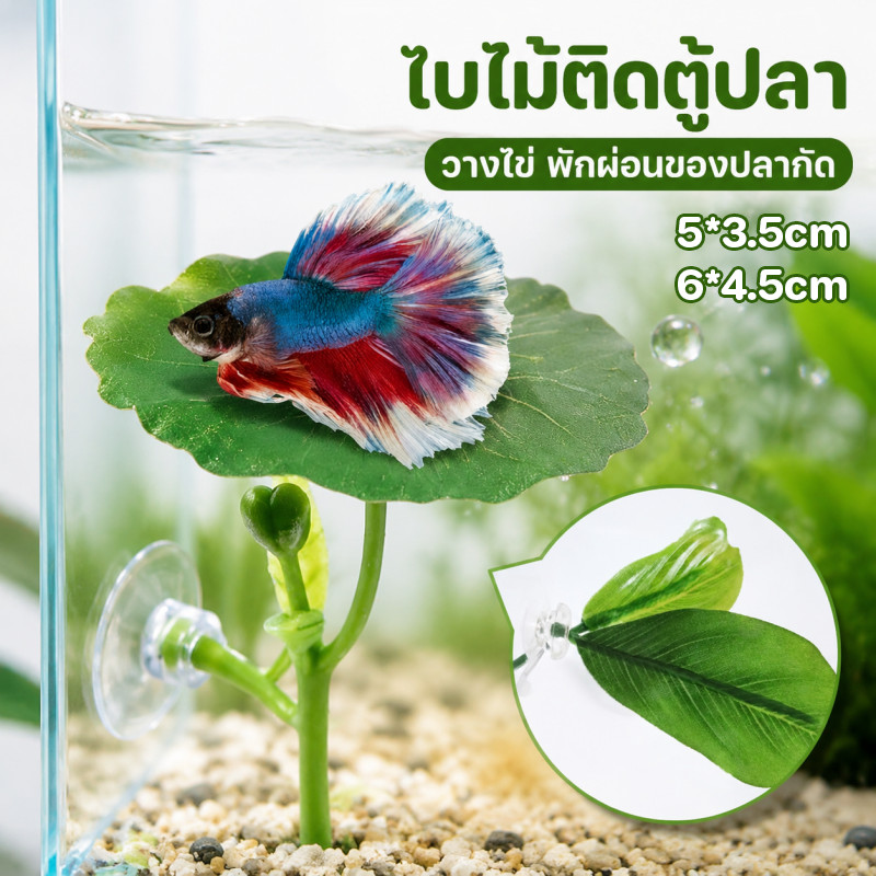 ใบบัวจำลอง ตก แต่งตู้ปลา พืชน้ำจำลอง ปล่อยให้ปลาได้พัก วางไข่ เพิ่มความสวยงามให้ตู้ปลา