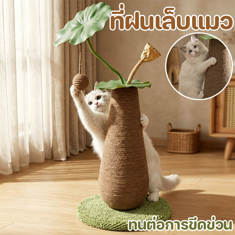 ที่ฝนเล็บแมว  ที่ลับเล็บแมว แร็คปีนแมว รูปร่างดอกบัว  สไตล์การตกแต่งบ้าน  ทนต่อการขีดข่วน จะไม่หล่นเศษ