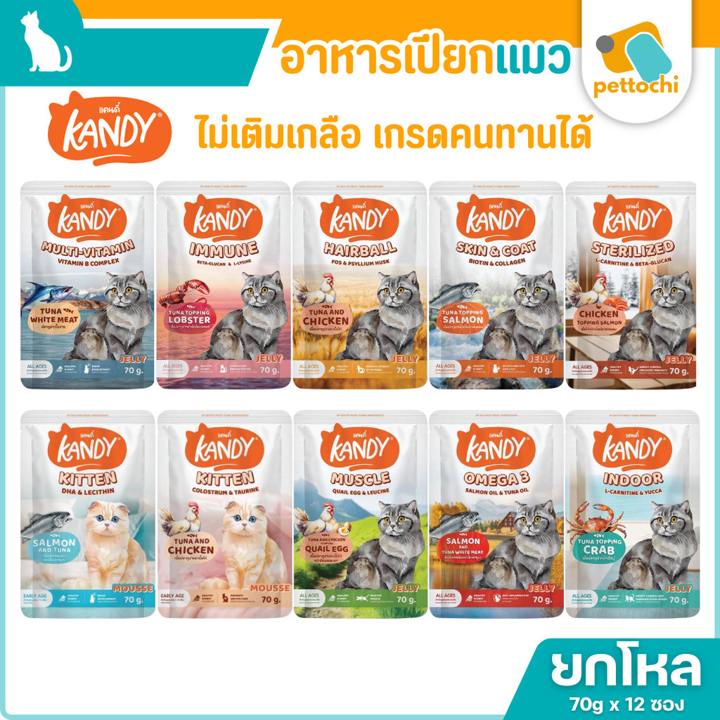 [ยกโหล] Kandy แคนดี้ อาหารแมวเปียก 70g เกรดพรีเมียม กลิ่นหอม สำหรับแมวทานยาก