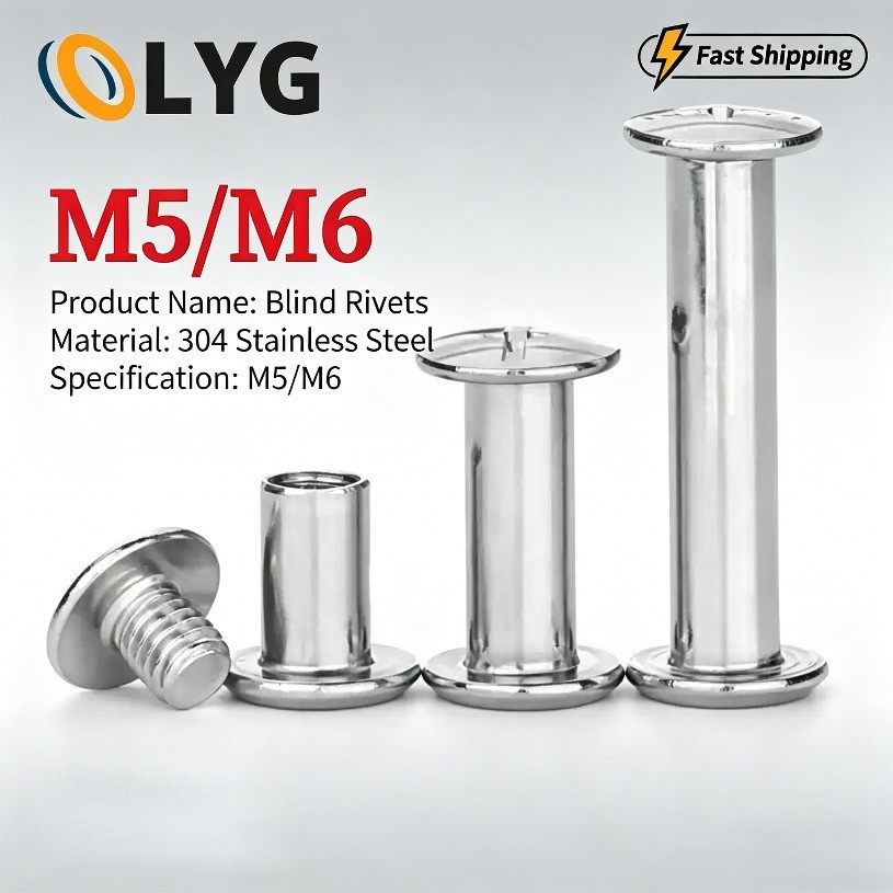 หมุดย้ำแม่-ลูกสแตนเลส 304 สำหรับบัญชีแยกประเภท ขนาด M5/M6 – แข็งแรงทนทาน ไม่เป็นสนิม พร้อมส่ง จัดส่งไว【LYG-WJ】