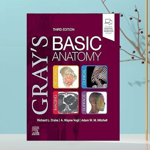 Paper English Books GreysBasicAnatomy(2022,Elsevier