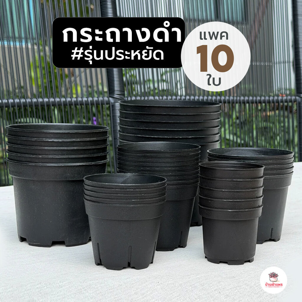 [แพค10ใบ] กระถางดำ เนื้อด้าน รุ่นประหยัด กระถางพลาสติก แคคตัส กระบองเพชร ไม้อวบน้ำ Cactus&Succulent