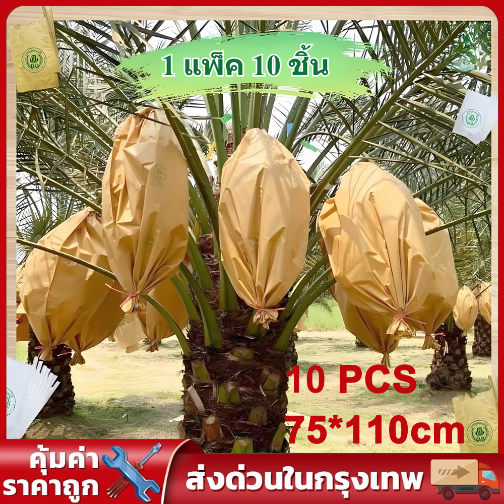 กระดาษห่อผลไม้ ขนาด 75x110 ซม. จำนวน 30 ใบ ถุงห่ออินทผลัม กระดาษห่ออินทผาลัม กล้วยหอม  กันแมลง เพื่อผลสวยงาม