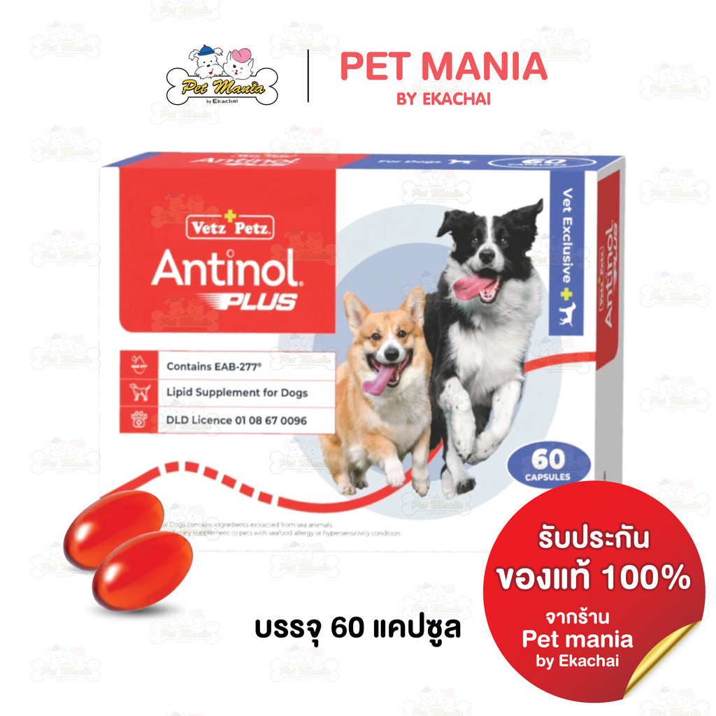 ANTINOL PLUS FOR DOG 60CAP/BOX อาหารเสริมบำรุงข้อสำหรับสุนัข เลขทะเบียนอาหารสัตว์ 0108550014