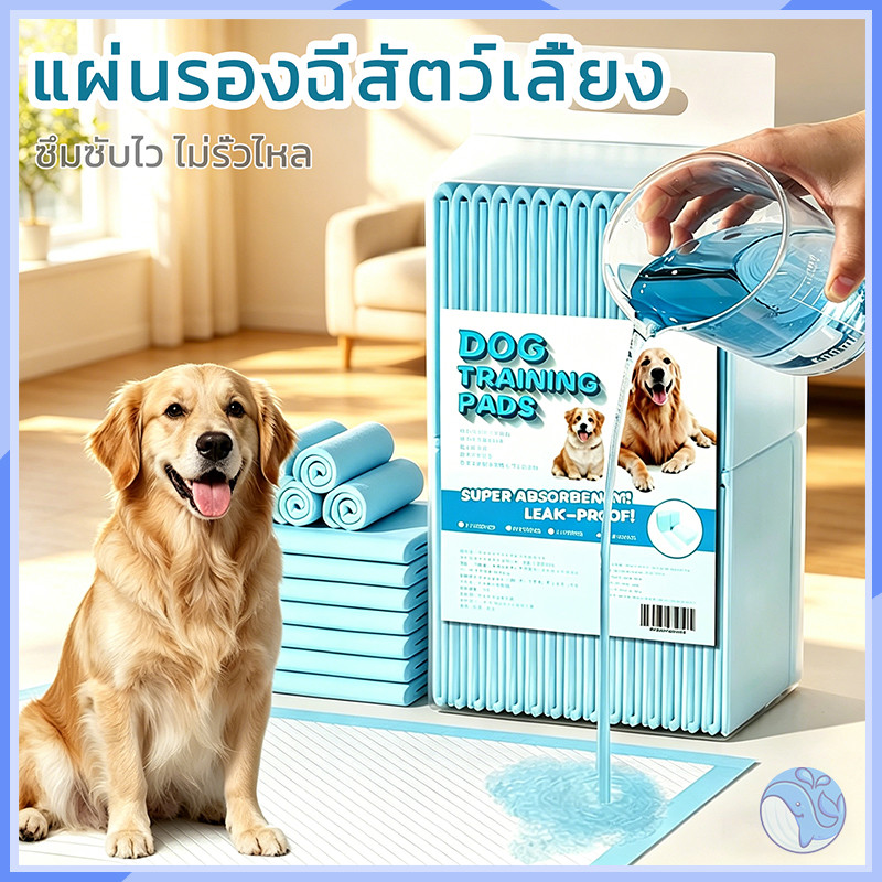 【ส่งจากไทย】แผ่นรองฉี่สุนัขและแมว ซึมซับดี ต่อต้านแบคทีเรีย แผ่นรองฉี่ ผ้ารองฉี่ แผ่นรองซับ ทรายแมว