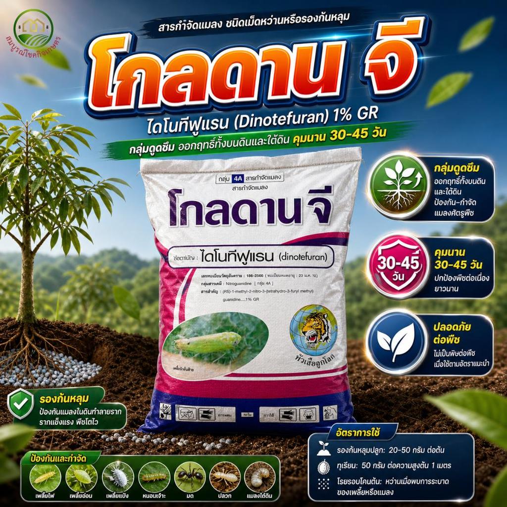 **ออเดอร์ครั้งละ 1 กส** โกลดานจี กระสอบ 15 กิโลกรัม ไดโนทีฟูแรน แบบหว่าน ป้องกัน จัดการ แมลง ชนิดดูดซึม