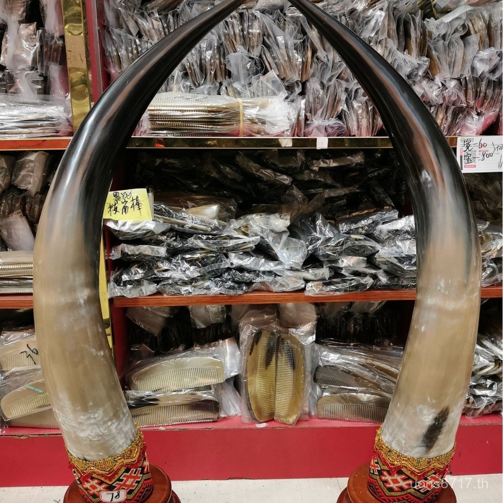 แตรตกแต่ง Yak ตัวอย่าง Horns Office Company Diagonal ขนาดใหญ่ผู้ผลิตงานฝีมือเครื่องประดับ Town House