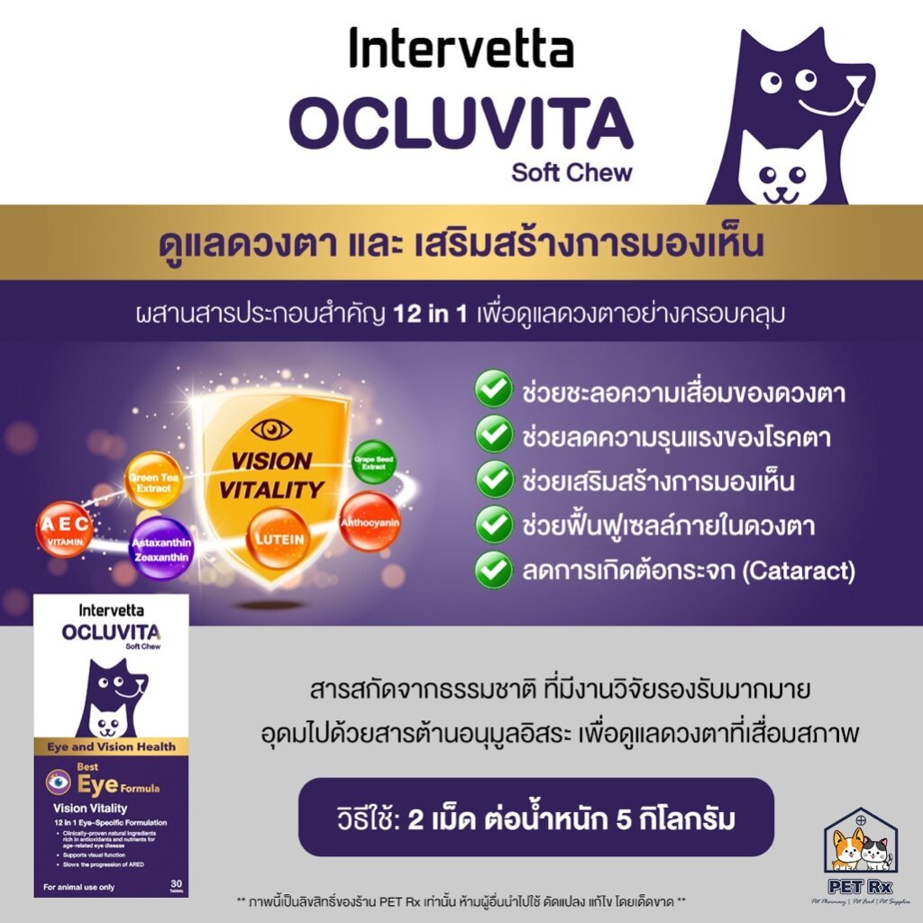 Ocluvita [แท้ ] อาหารเสริมเพื่อบำรุงสายตาและดวงตา สำหรับสุนัขและแมว ราคา ถูกที่สุด ดีลบีเคเค แกลเลอรีภาพที่ 3