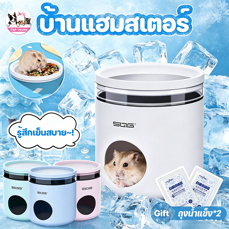🐹COD🐹บ้านแฮมสเตอร์ บ้านแกสบี้ สำหรับสัตว์เลี้ยง เย็น บ้านหลบแฮมสเตอร์ บ้านหนูตะเภาบ้านแฮมเตอร์สุดล้ำปรับอุณหภูมิได้