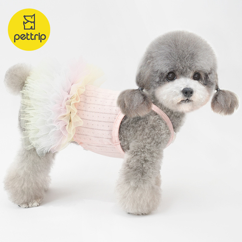 Beitou Dog เสื้อผ้าสัตว์เลี้ยงกระโปรงสลิงฤดูร้อน Bichon Teddy Puppy Princess Gauze Skirt Rainbow Gau
