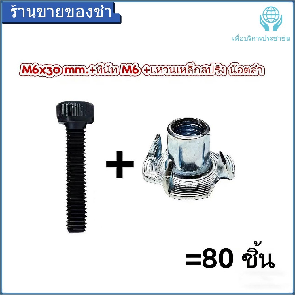 ชุดน็อตและแหวนเหล็กสปริง M6x30mm 80ชิ้น คุณภาพสูง สำหรับงานซ่อมและติดตั้ง