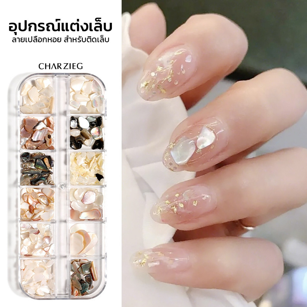 Moziur DIYเปลือกหอยแต่งเล็บ เปลือกหอย ตกแต่งเล็บ เปลือกหอยแต่งเล็บแบบบาง ติดง่าย12 เซลล์