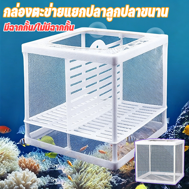 COD กล่องตะข่ายแยกปลาลูกปลาขนาน กล่องฟักไข่ ตู้ฟักไข่ปลา แยกได้ 2 ช่อง แบบตาข่าย กล่องแยกปลา