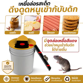 กับดักหนูอัตโนมัติ สำหรับถัง 5 แกลลอน พร้อมทางลาด จับหนูได้รวดเร็ว ใช้ซ้ำได้ ประหยัดและปลอดภัย