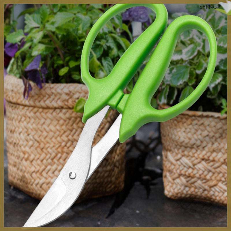 สาขา Sheers มือ Pruners กรรไกรกลางแจ้งสวน Pruners เฉือน Ergonomic Handle shaoyiping