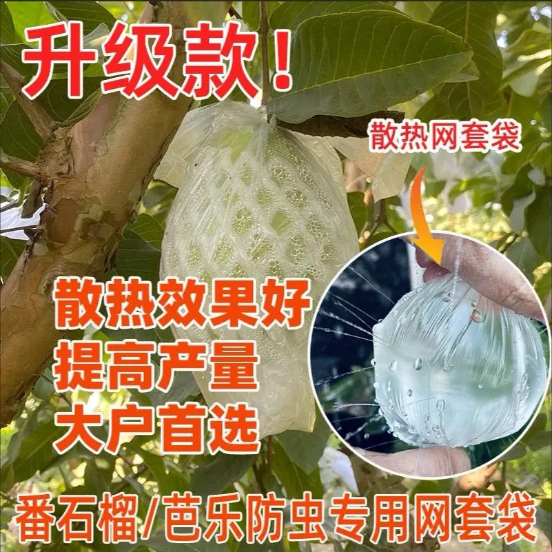 Fruit Fruit Fruit farmer Baging Guava Red Heart Cream Guava Insect-Proof Bagging Integrated Fruit Ne