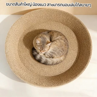 Mango กระดาษลับเล็บวงรี ที่ลับเล็บแมว อ่างลับเล็บแมว ของเล่นแมว รูปอ่าง เป็นที่นอนแมวไปในตัว กระดาษลูกฟูก
