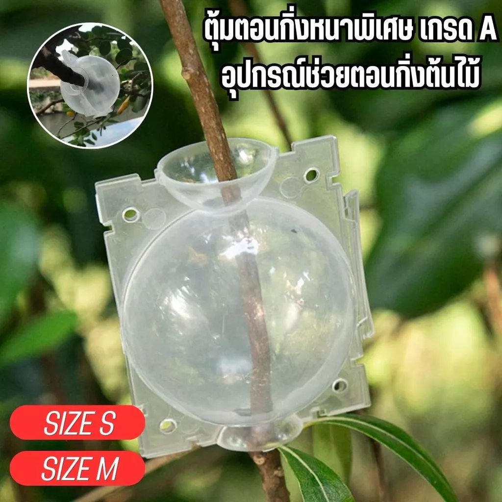 ตุ้มตอนพลาสติก แบบหนา มี 2ขนาด ขาวโปร่ง แข็งแรง ทนทาน ใช้ซ้ำได้ การออกแบบที่เน้นความสะดวกสบาย