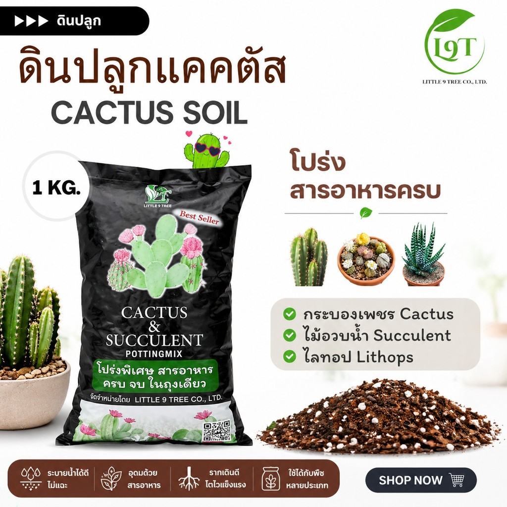 ดินปรุงสำเร็จสำหรับCACTUSไม้อวบน้ำไลทอบดินกระบองเพชร 1kg (Cactus 35 THB) VDO