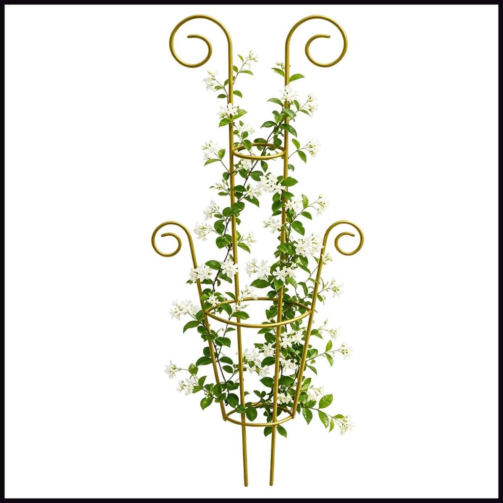 Trellis สําหรับพืชปีนเขาสวนกลางแจ้งโลหะพืชสนับสนุน Pothos สนับสนุน Stakes สําหรับในร่มกลางแจ้งระเบีย