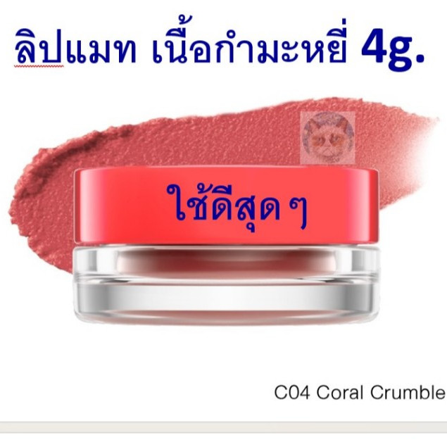Sasi ศศิ คัดเดิ้ล จอย เบลอร์ พุดดิ้ง ลิป 4g.
