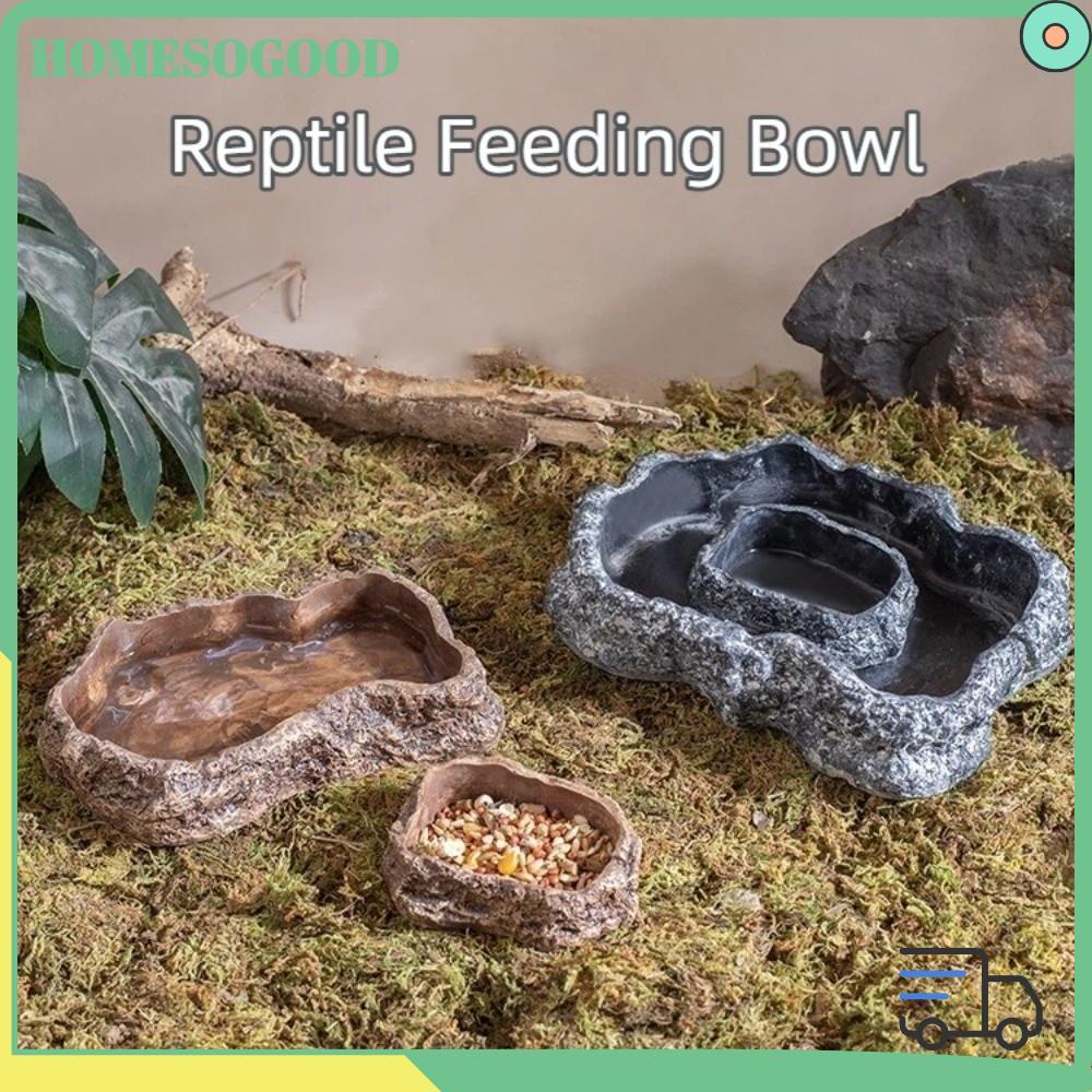 HOMESOGOOD ชามอาหารสัตว์เลื้อยคลาน, Habitat Decor จานอาหาร Lizard หลายขนาด, ฐานกันลื่นจําลอง Rock Pe