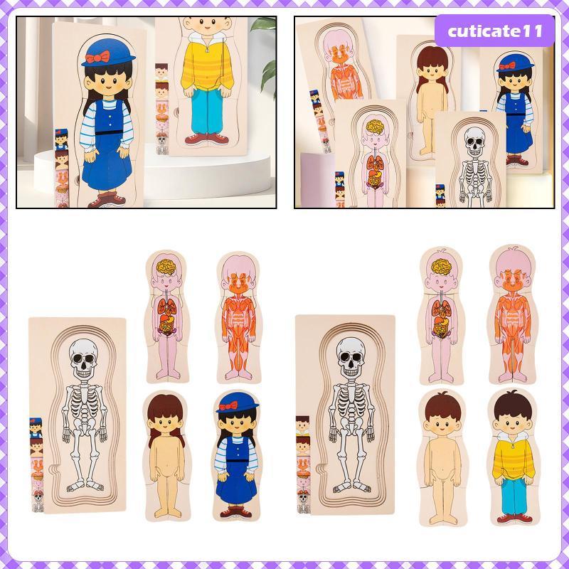 [Cuticate1] Human Body Puzzle, Playset with Human Body Skeleton Toy, ของเล่นไม้ปริศนา,